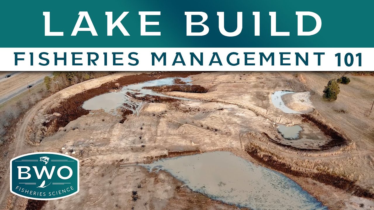 Lake Build: 1 Year Lake Design, Construction, and Progression - Fisheries Management 101