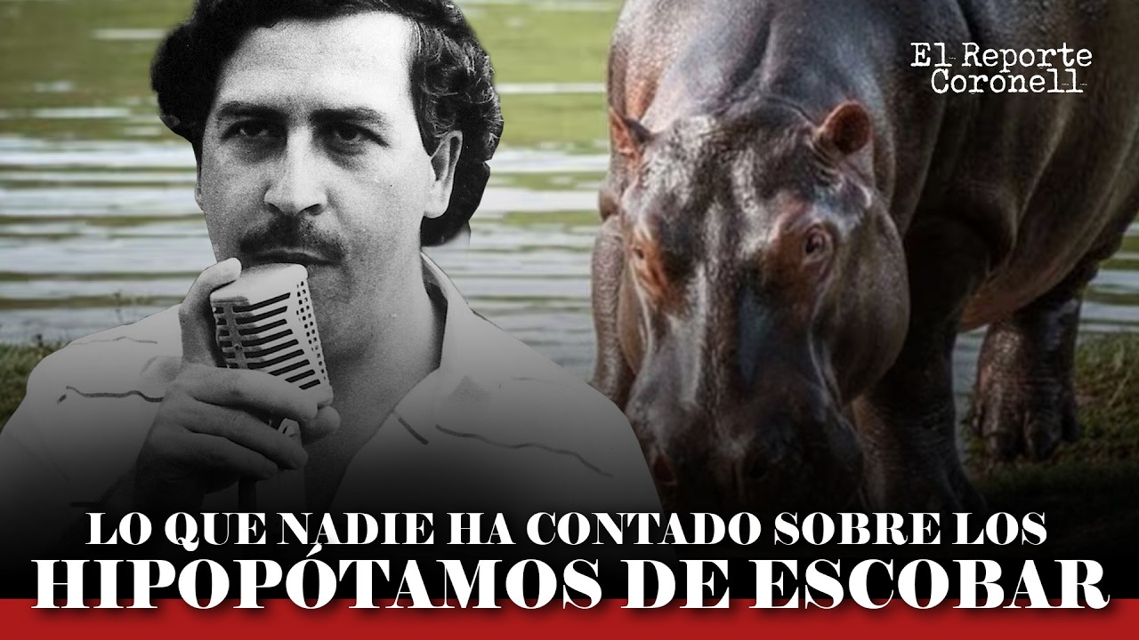 El Reporte Coronell | La historia no contada de los hipop&oacute;tamos de Pablo Escobar