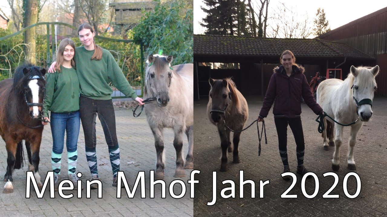 Mein MHof Jahr 2020 I Mariannenhof