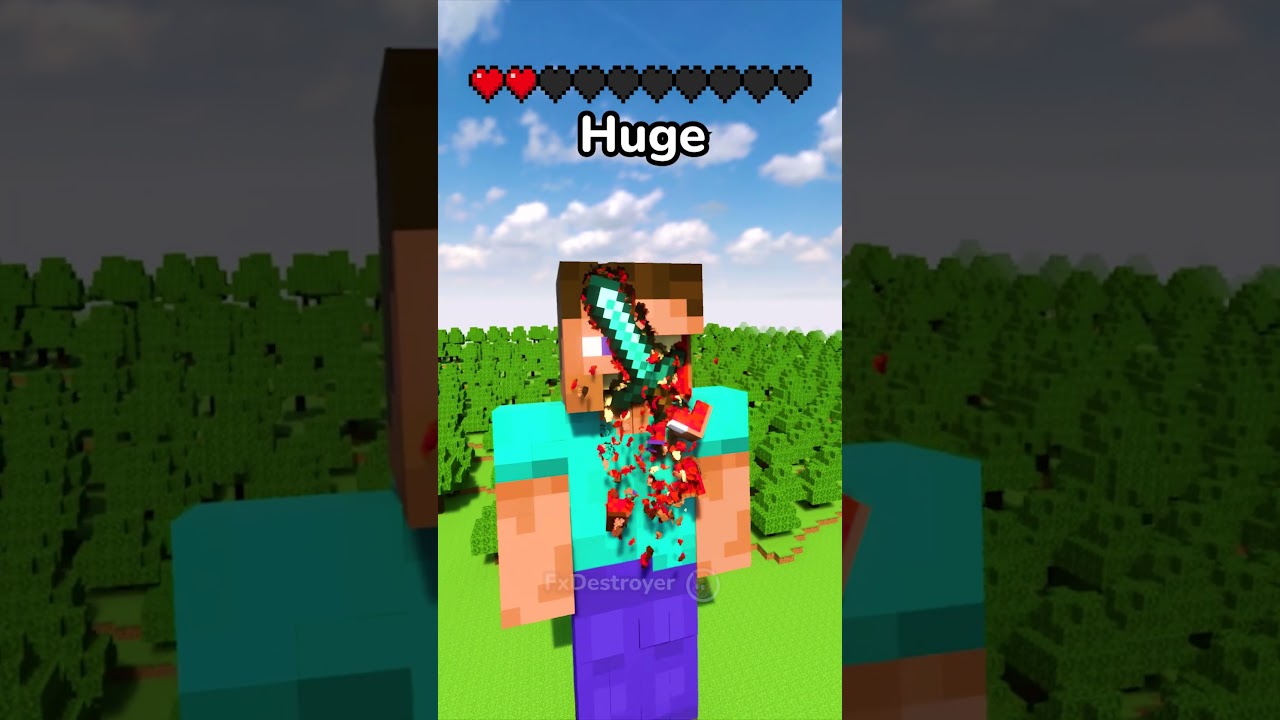 Steve VS Hammer and Sword