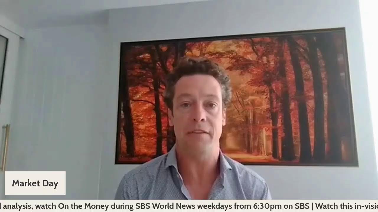 How to pick the right NBN speed deal + US holds interest rates | SBS On the Money
