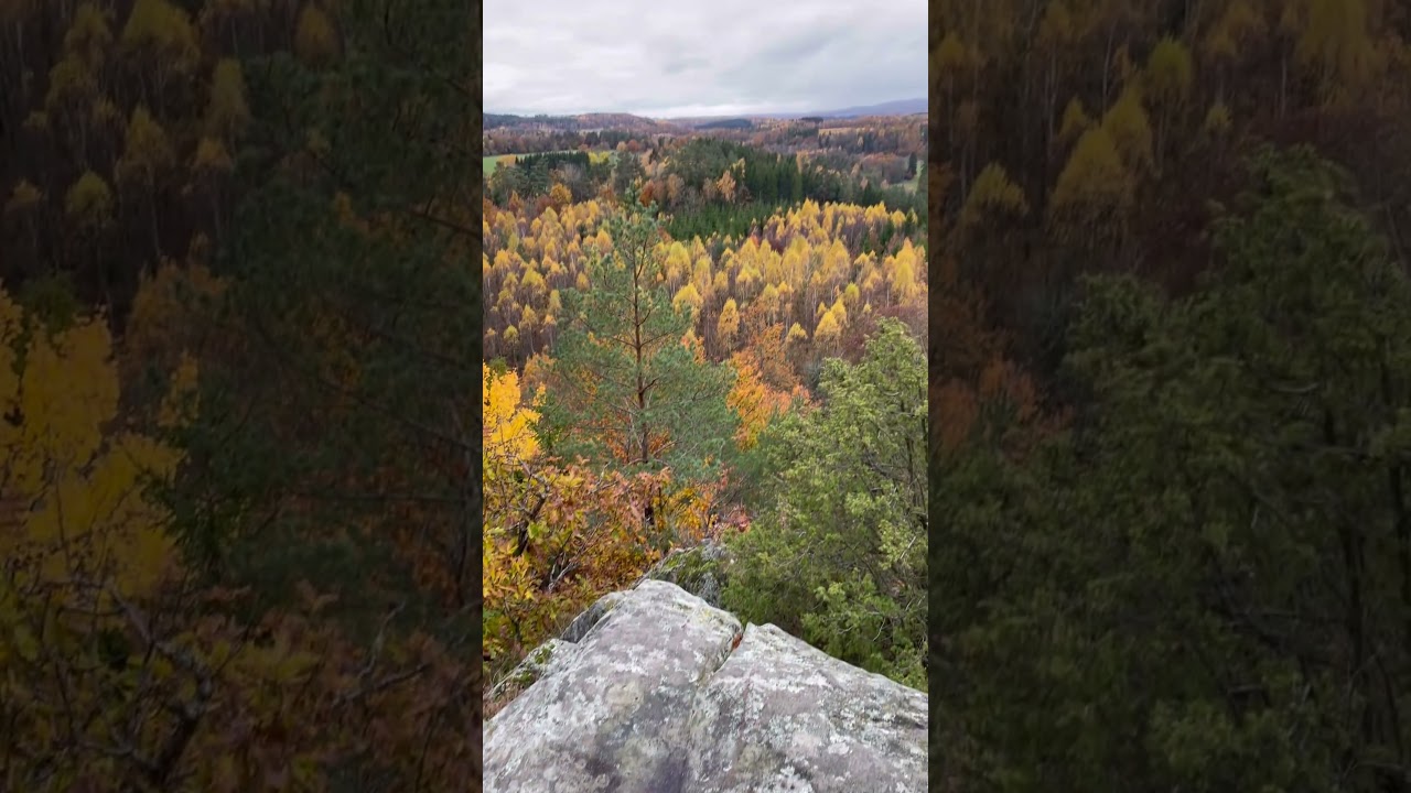 Nezumi Corbeau @NEZUMIStudios