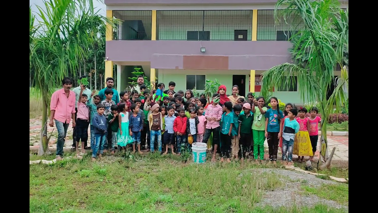 padmadeepa international school | green day celebration