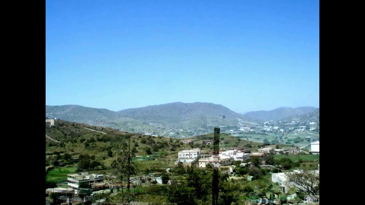 وادي شرى