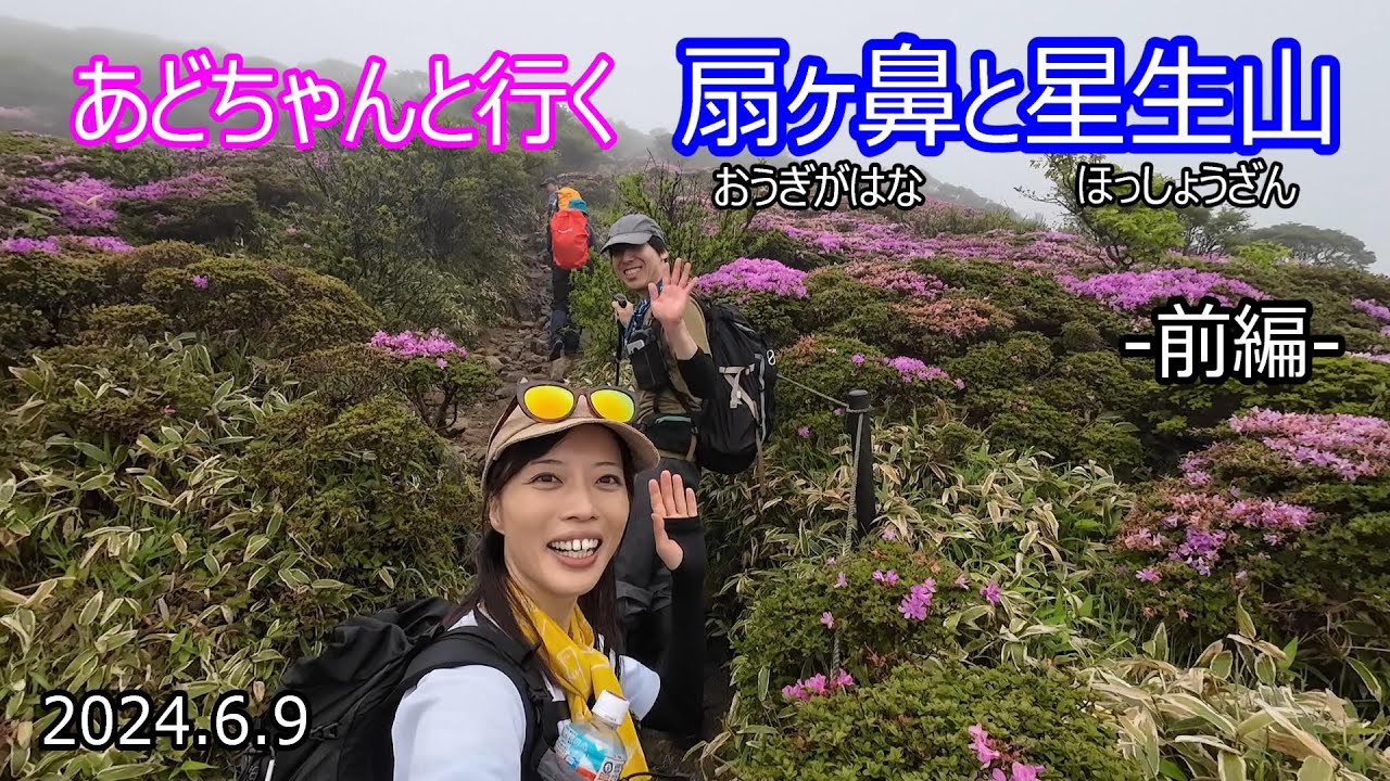 【登山Vol.12 前編　あどフレンズツアー】大分県扇ヶ鼻と星生山　あどちゃんと一緒にミヤマキリシマの名所に登ります！