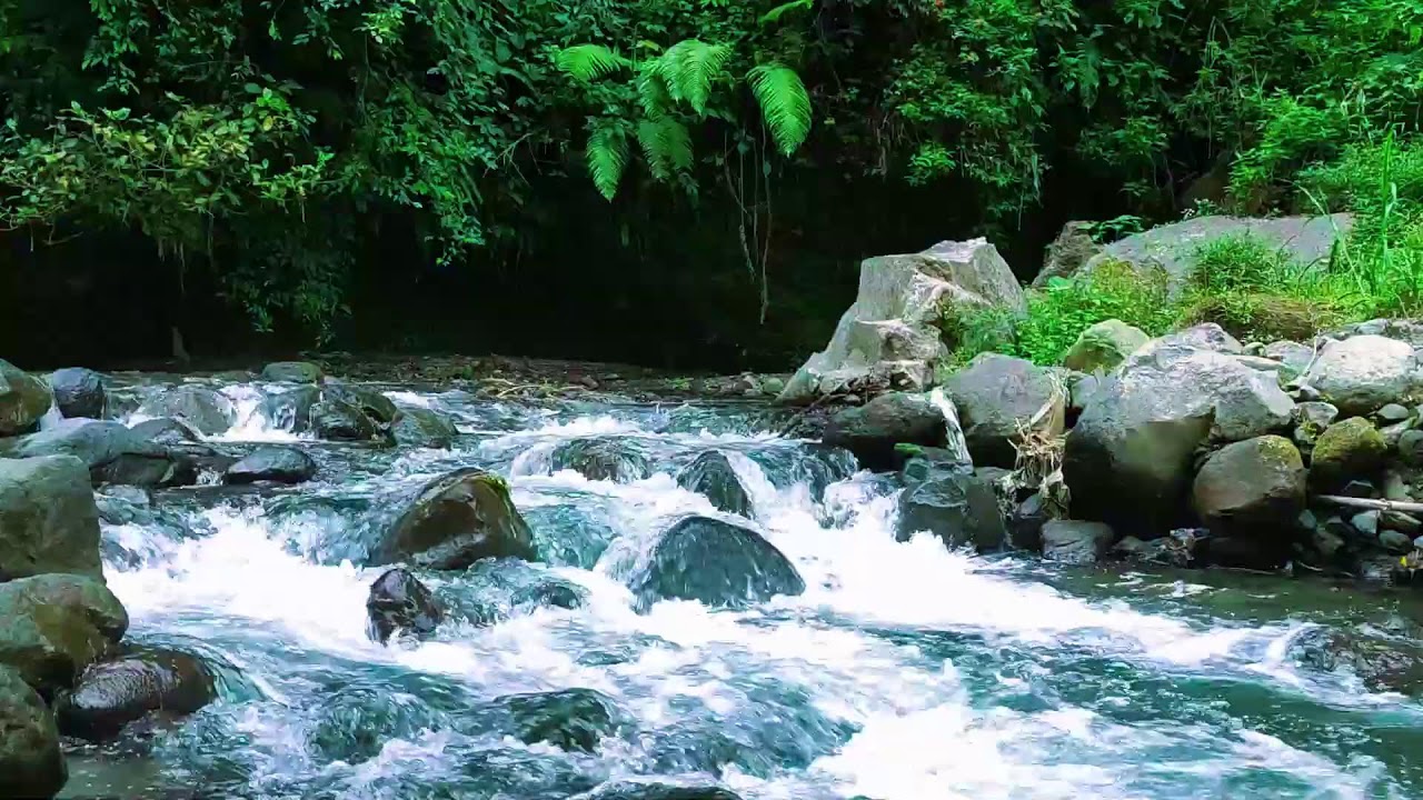 Roaring River Sounds  10 Hours Continuous Water Noise for Deep Sleep