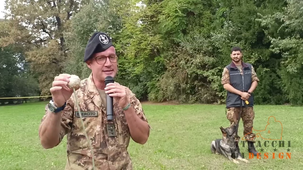 Esercito Italiano: obbedienza, gioco, ricerca esplosivo specialità EDD e MDD, invio in avanti