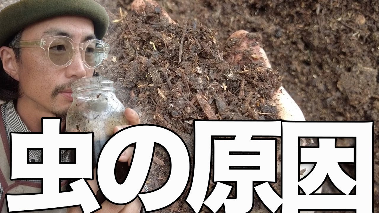 【目からウロコ】有機農業で虫がわく原因とその対策。アレがまさかの逆効果!?　＃無農薬栽培