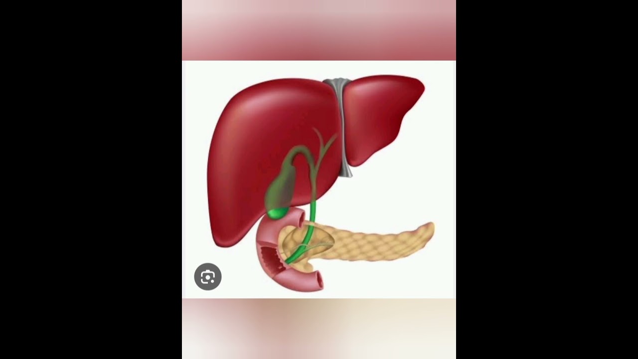 Biology.com PMPA 