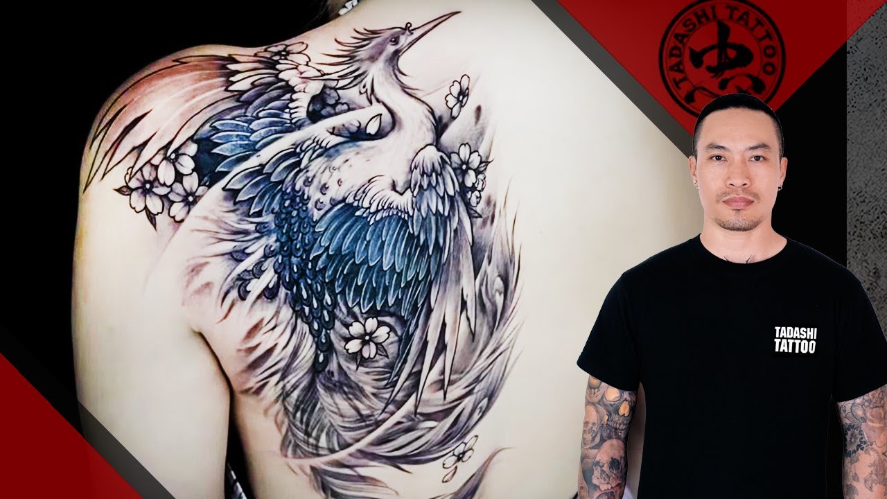 Hình xăm phượng hoàng lửa - Cover hình xăm nhỏ thành hình phượng hoàng lửa sau lưng. Tadashi Tattoo