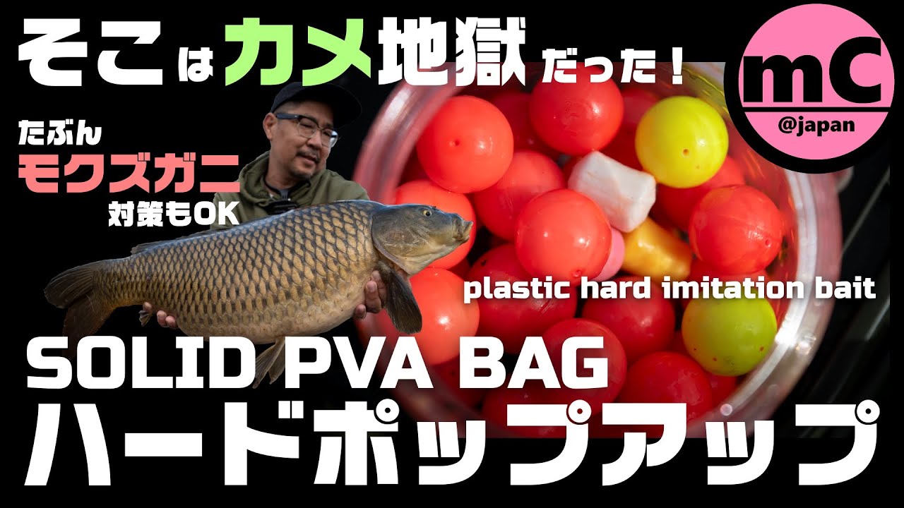 【鯉釣り】ソリッドバッグ＋ハードポップアップ【亀･カニ対策】