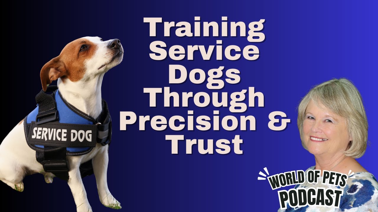 Training Service Dogs Through Precision & Trust