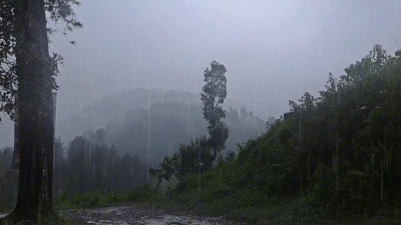 Heavy Rain Ambience 10 Hours │ Deep Sleep