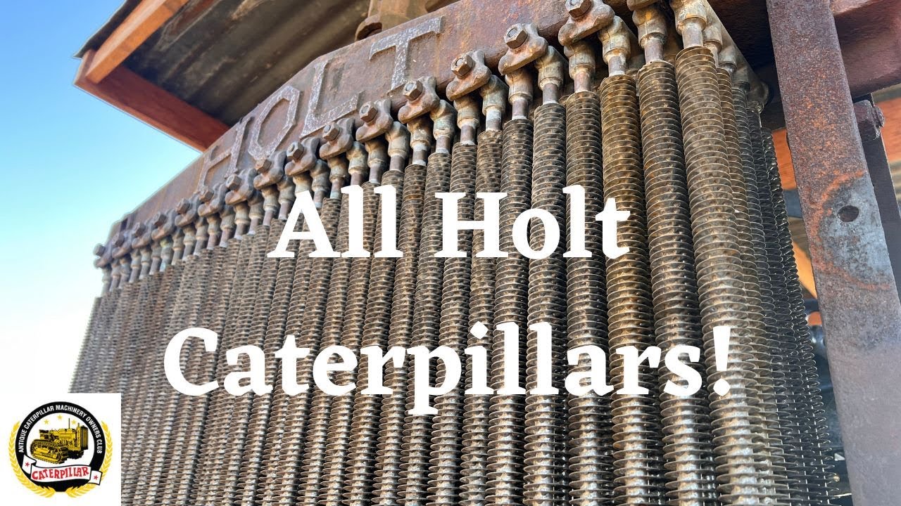 All Holt 