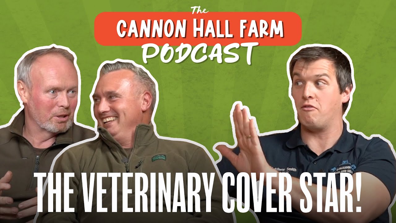 Matt The Vet: The Veterinary Cover Star! 📖