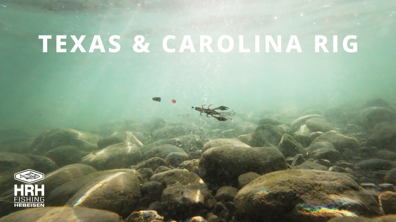 Texas- und Carolina-Rig | So funktioniert's!