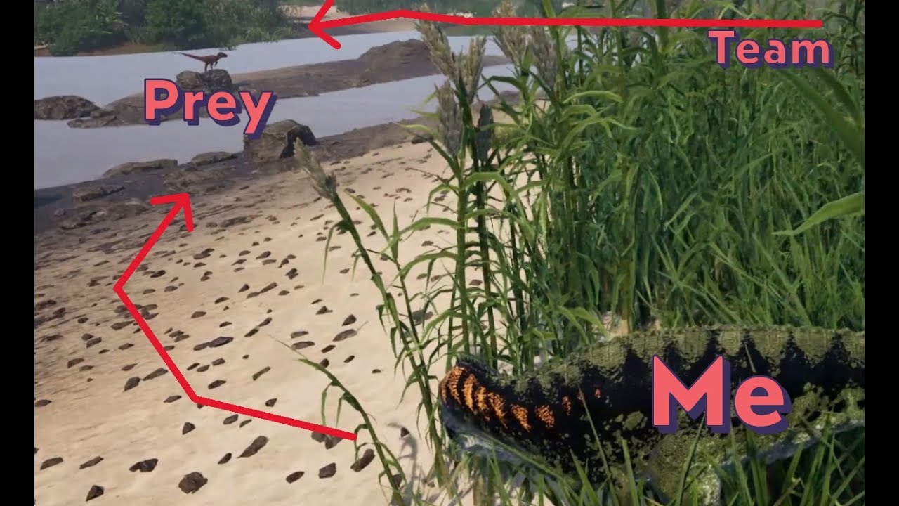 Using Teamwork To Hunt - The Isle
