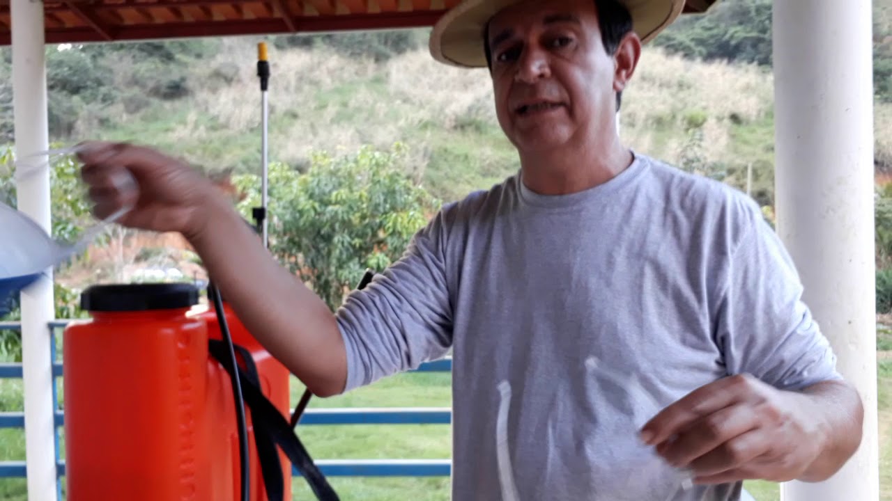 DOENÇA EM PÉS DE LARANJA, LIMÃO ETC.  COCHONILHAS , PULGÃO. TRATAMENTO COM PRODUTOS NATURAIS.