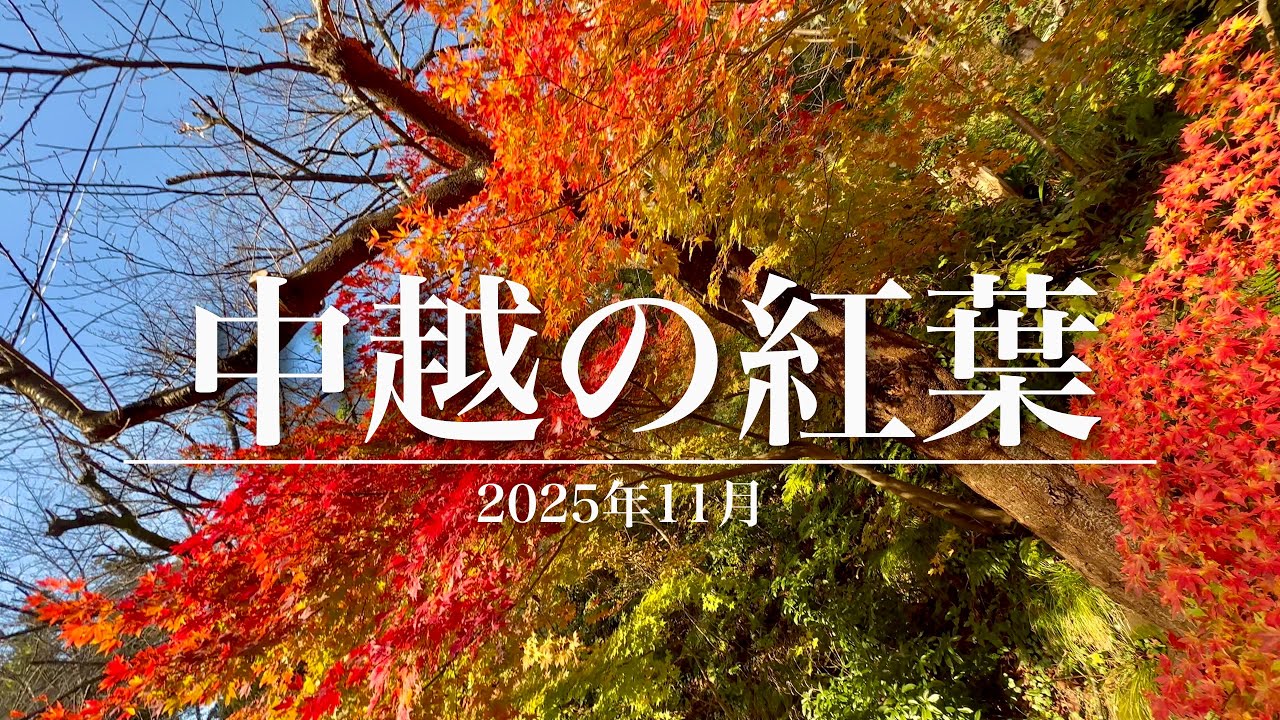 【BGV】🍁紅葉🍁　中越　〜新潟〜