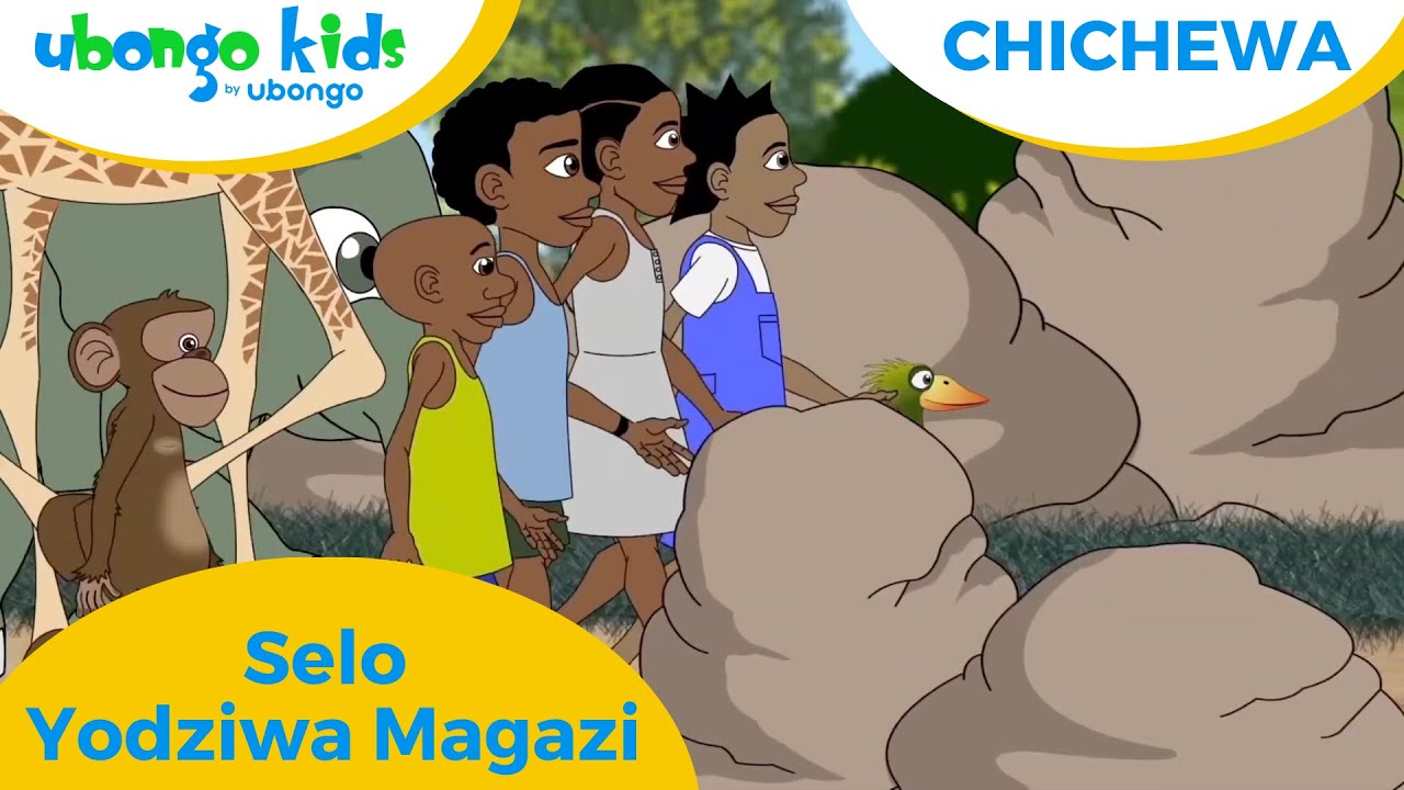 Chichewa | Selo Yodziwa Magazi | Ubongo Kids