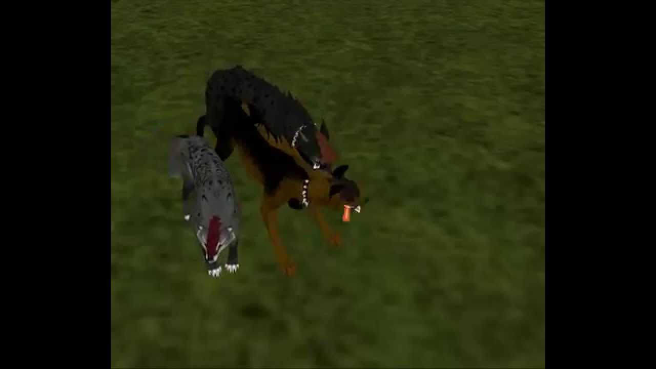 FeralHeart Randomness 4