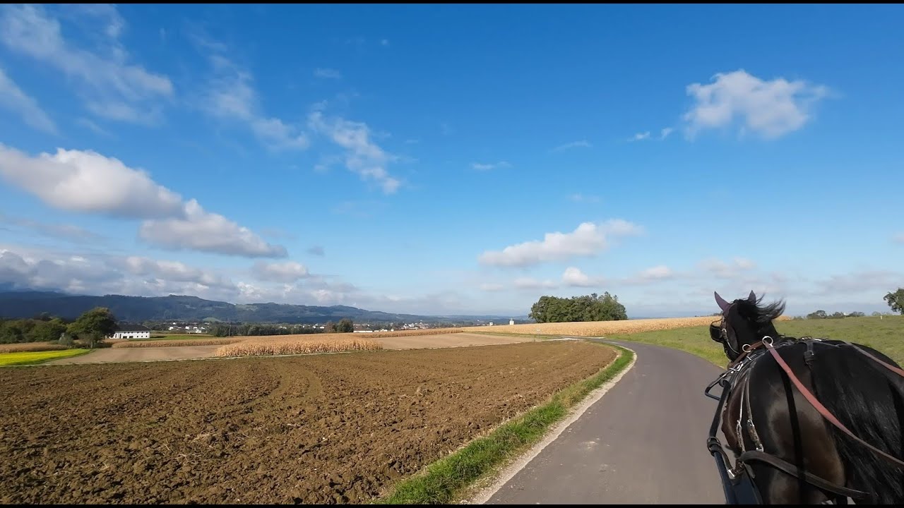 Pettenbacher-Bürstingerrunde mit Vani