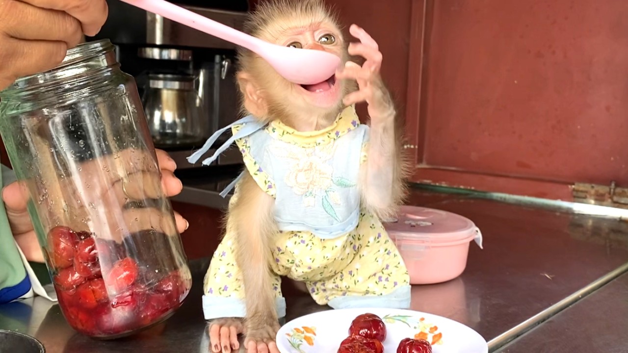 Wow!! Little LIORA is so cute, she really wants to taste the cherry flavor
