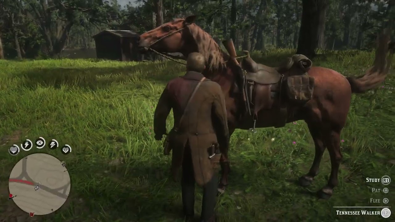 Red Dead Redemption 2_part 133