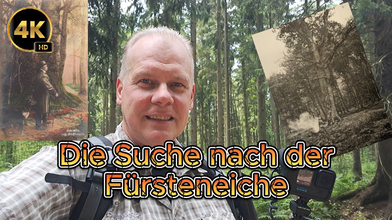 Die Suche nach der Fürsteneiche - Meine Mission im Sachsenwald
