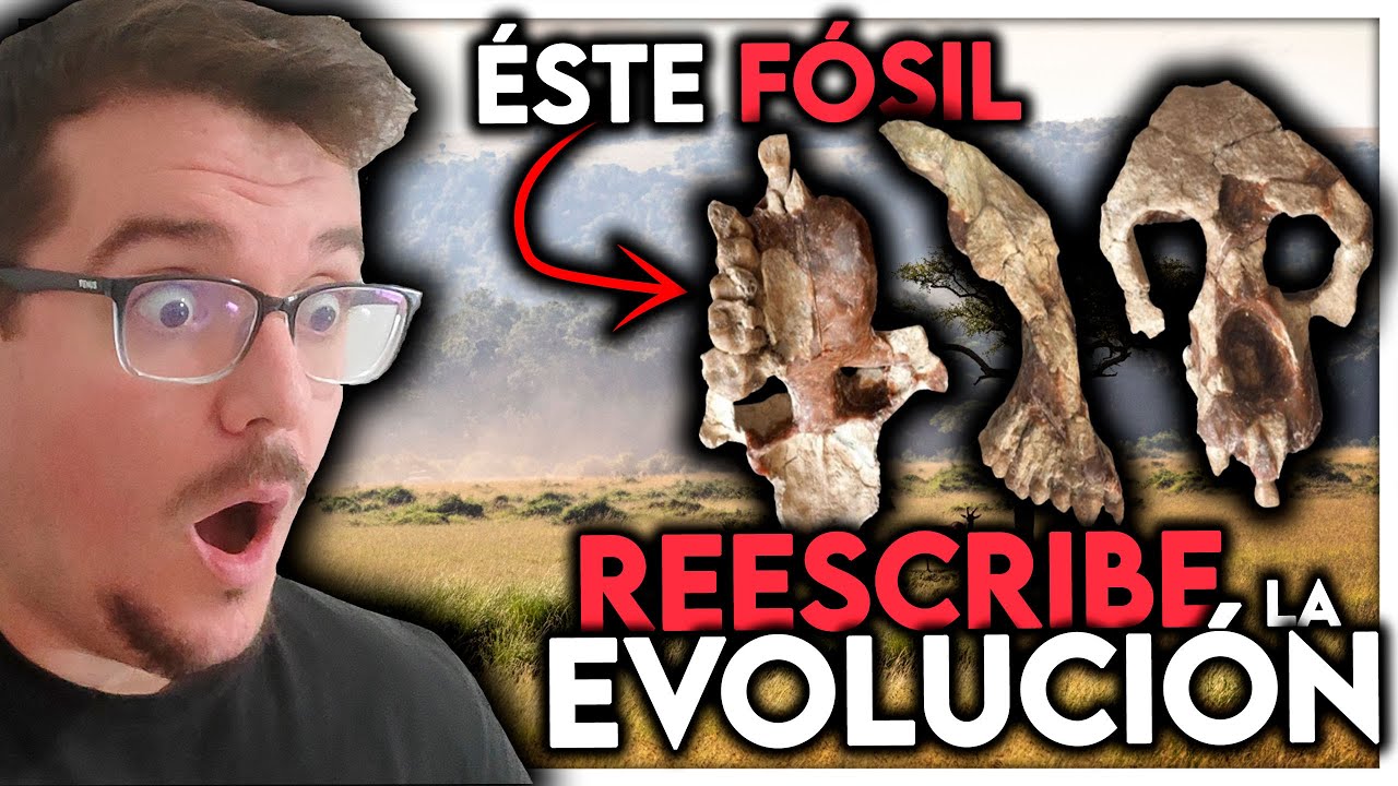 HALLAN un F&Oacute;SIL que REESCRIBE (&iexcl;y REVOLUCIONA!) la EVOLUCI&Oacute;N humana