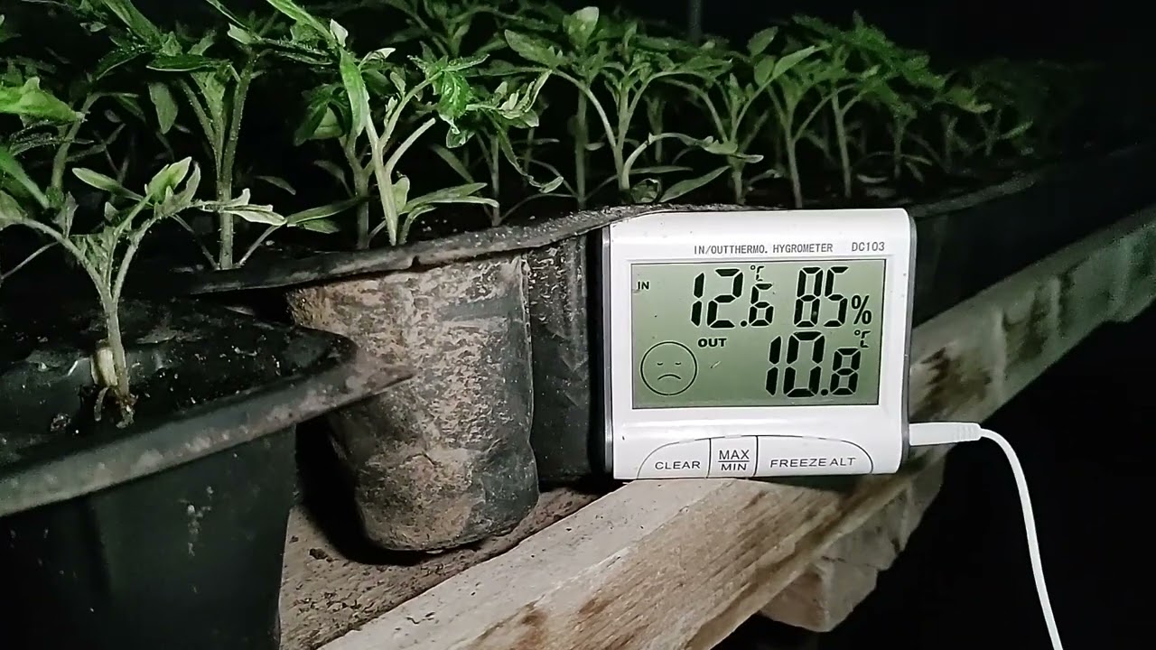 CUM ÎNCĂLZIM UN SOLAR MIC ÎN VEDEREA PLANTARII TIMPURIE!
