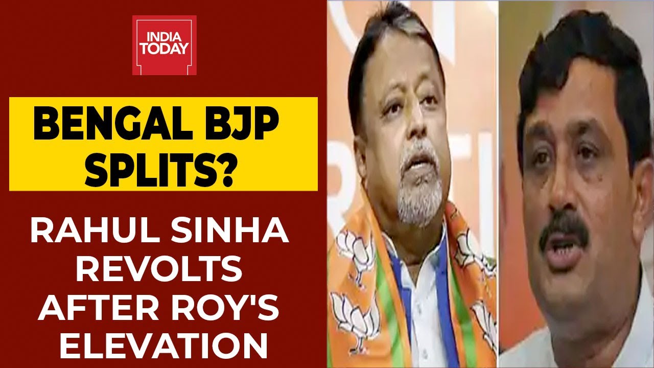 Mukul Roy's Elevation Irks BJP's West Bengal Unit, Party Leader Rahul Sinha Revolts
