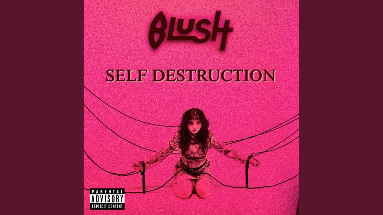 Self Destruction