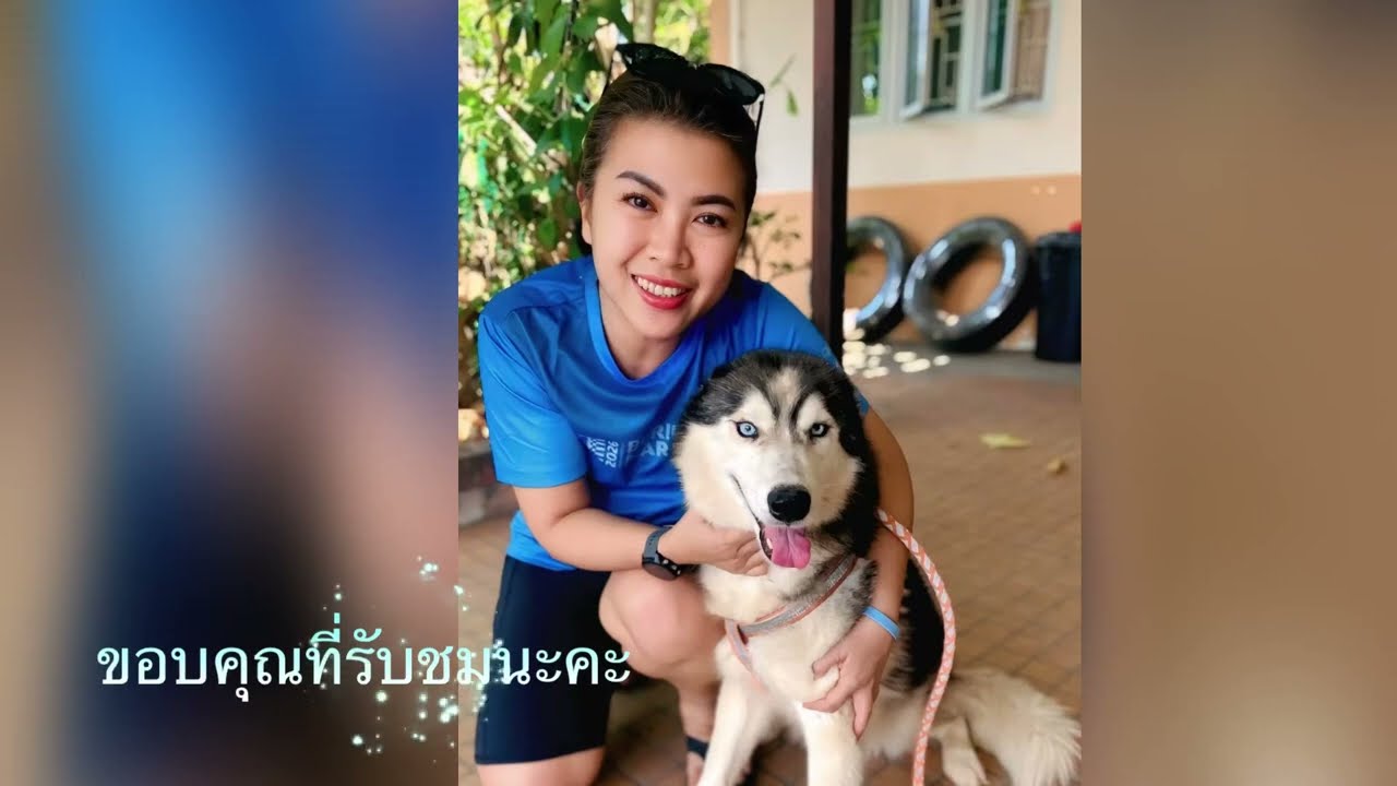 Cute Huskies แบร์รี่กับแฮปปี้ กินขนมแล้วไปชมวิวนอกบ้าน เจอจุ๊มเหม่งด้วย 🐶#dogs #สุนัข #husky 