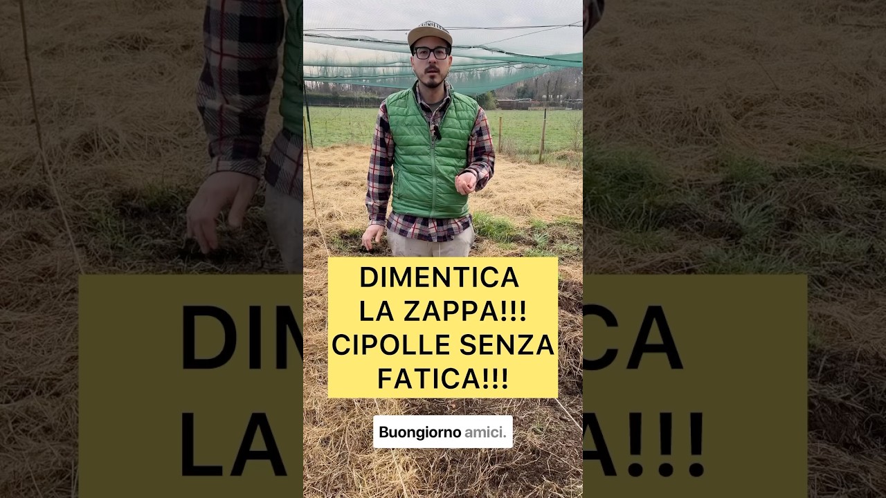 DIMENTICA LA ZAPPA!! CIPOLLA SENZA FATICA!! #agricoltura #agricolturabiologica #orto #farmer #bio