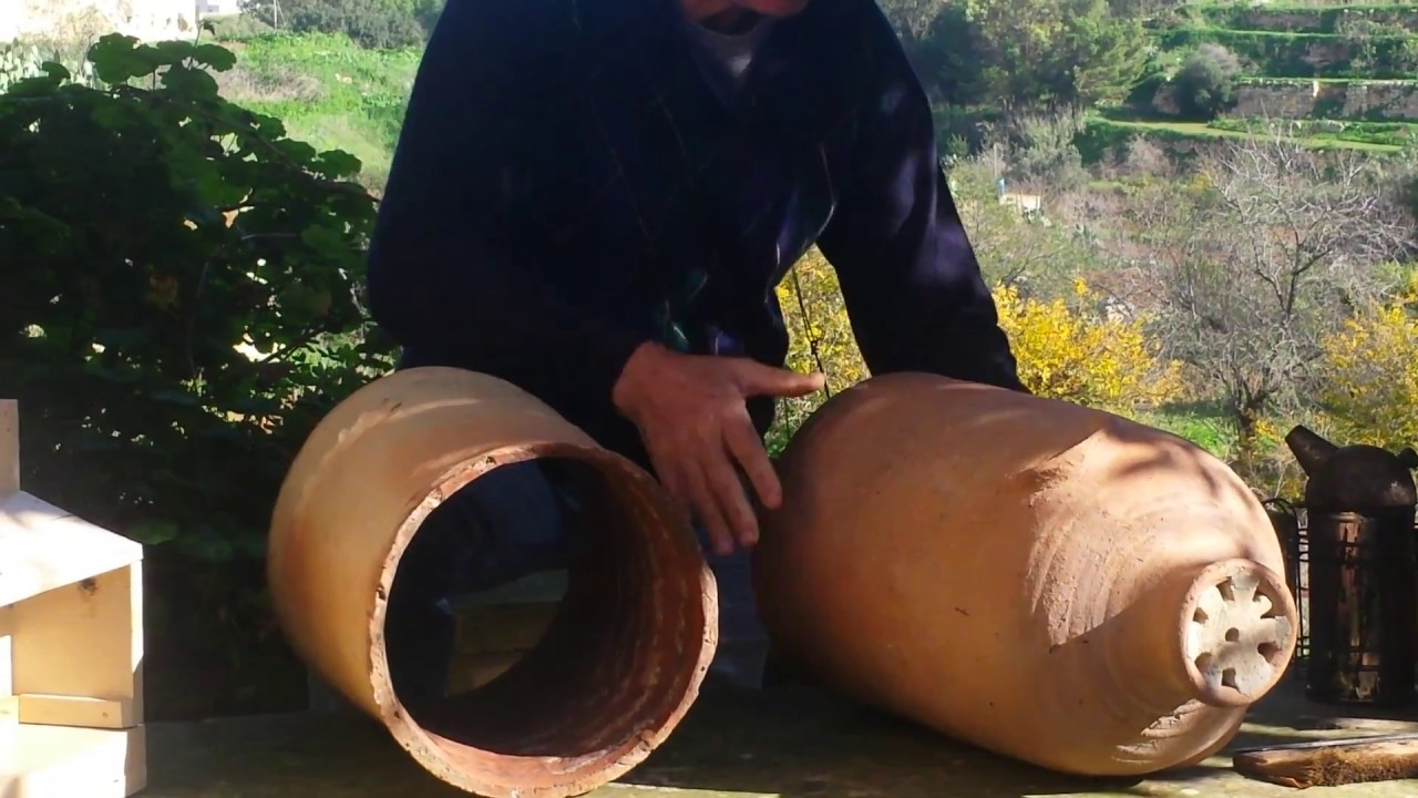 l-għasel f'Malta - Honey Production in Malta (PART1)