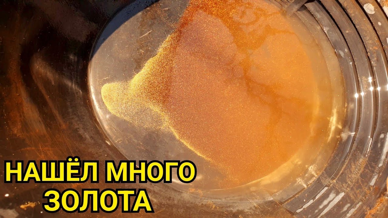 НАШЁЛ МНОГО ЗОЛОТА