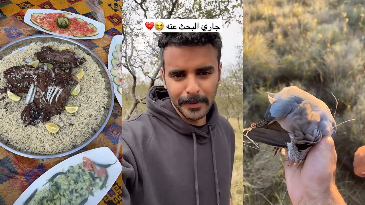 سنابات ماجد العتيبي| جاري البحث عن الغزال 😁 مقناص الطيور🕊️