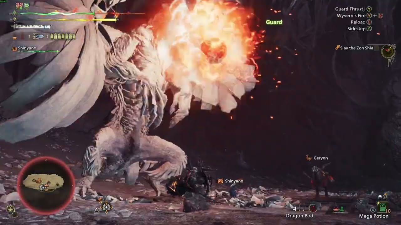 MHWildsX29 10star Zoh Shia, USJ