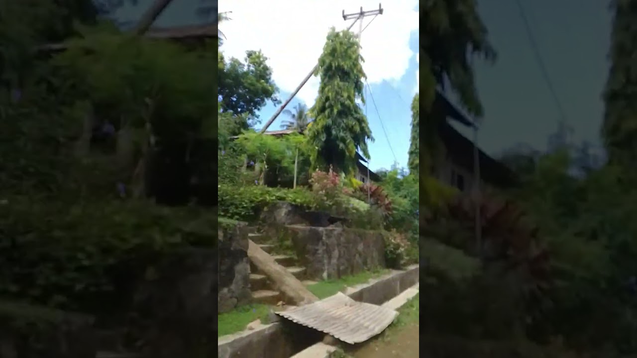 Kegiatan vaksinasi pencegahan rabies pada HPR di Kab Flores Timur