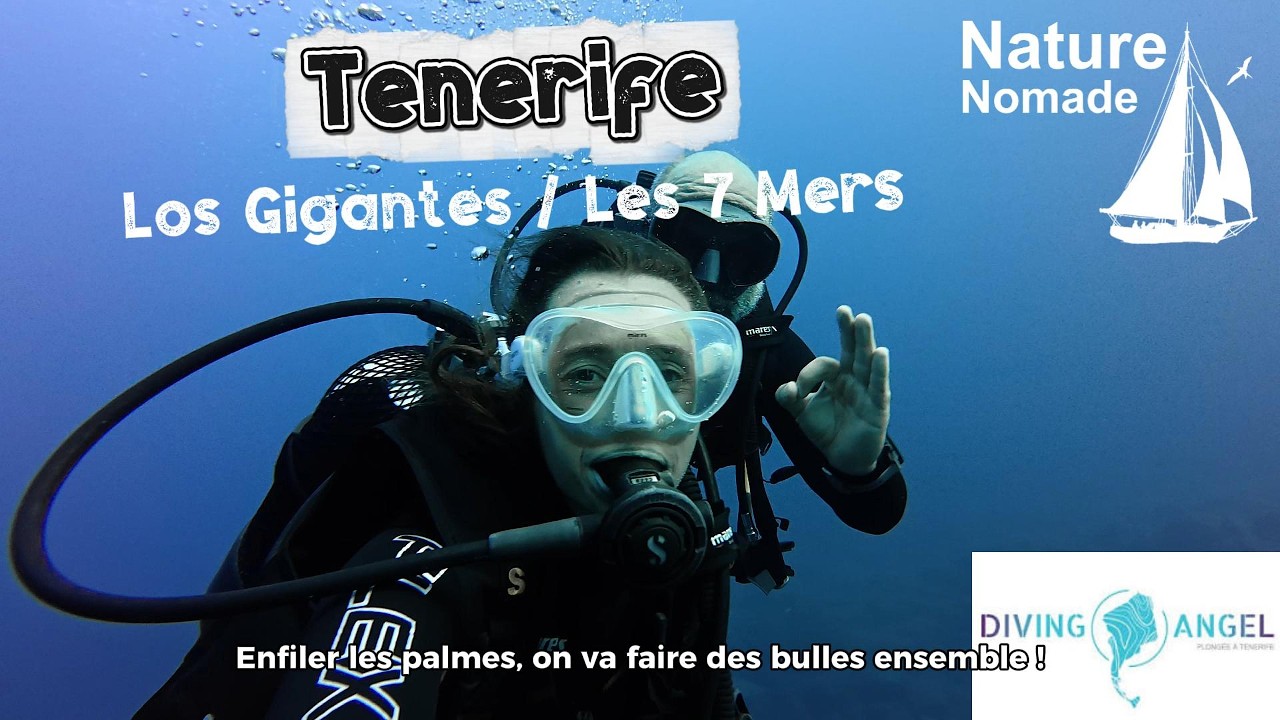 Plongée à Tenerife avec Diving Angel
