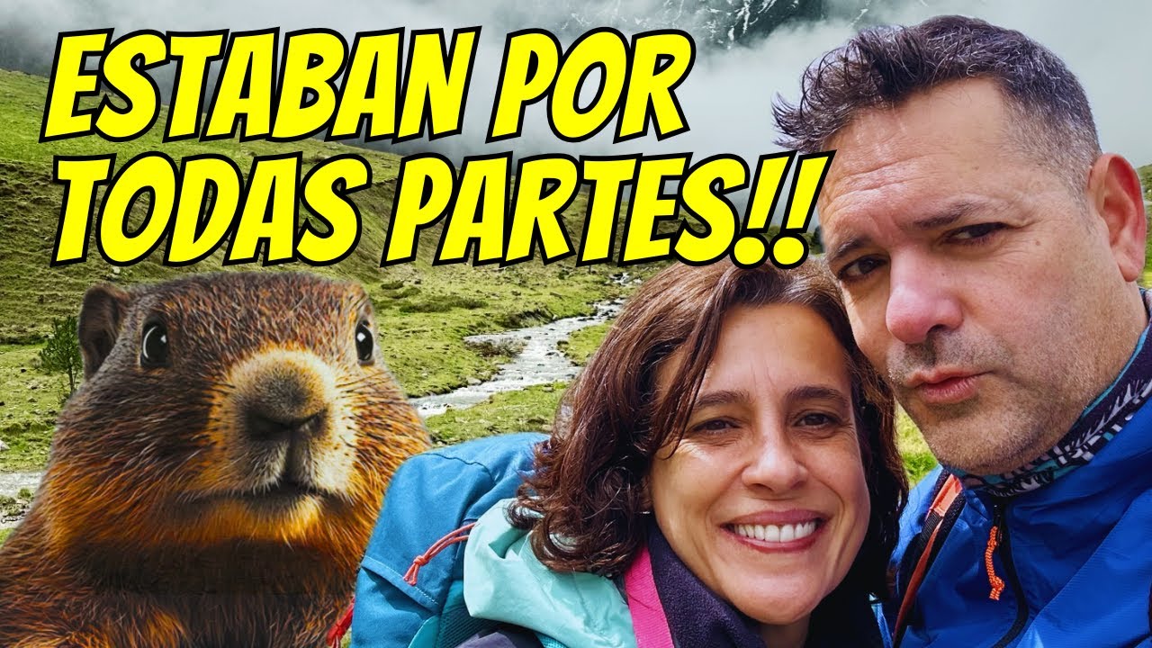 Ruta de las MARMOTAS #pirineos #marmota #montaña #naturaleza #senderismo #4k