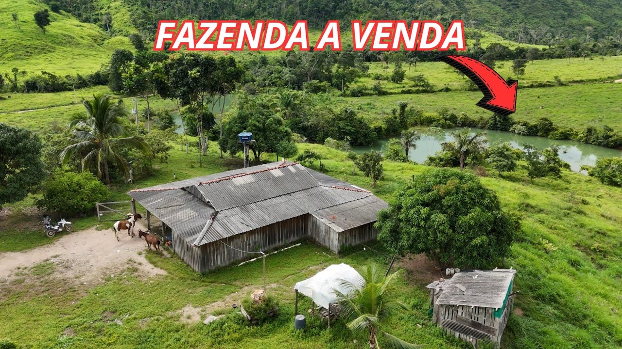 Fazenda de 70 alqueires a 45 km de São felix do xingu Pará 