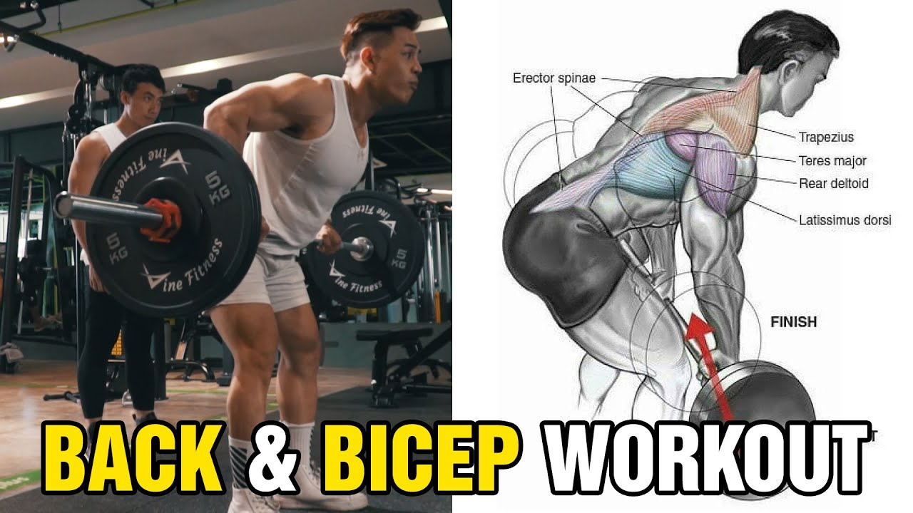 Hướng Dẫn Buổi Tập Lưng X&ocirc; & Tay Trước
