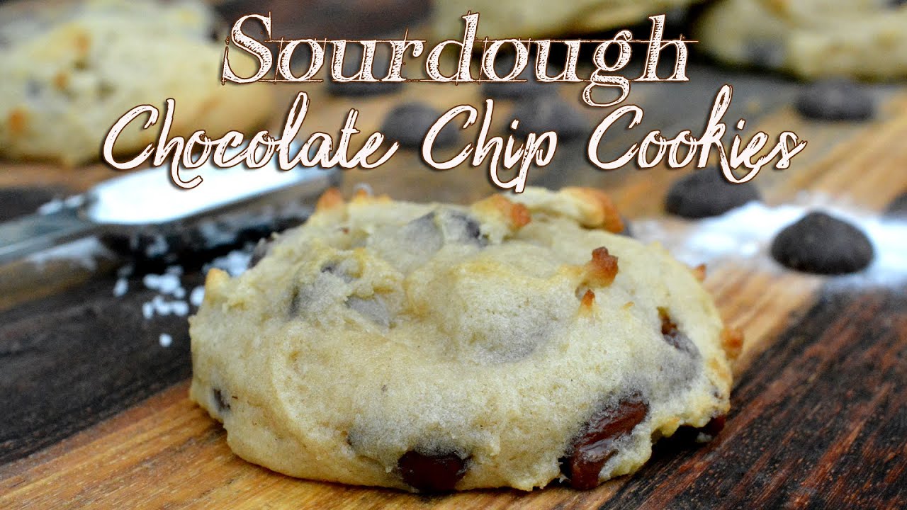 Sourdough Chocolate Chip Cookies | Bakery Style Cookies | Sourdough Discard Recipe
