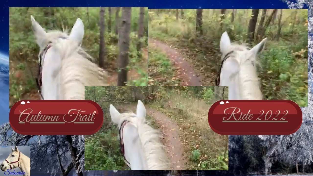 Autumn Trail Ride - A Stunningly Beautiful 2022 Horse Adventure