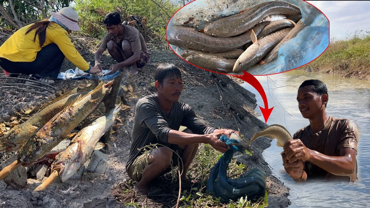 Wow! ថ្ងៃនេះ ៣នាក់បងថ្លៃ ចូលសុទ្ធតែលំដាប់គីឡូធ្ងន់