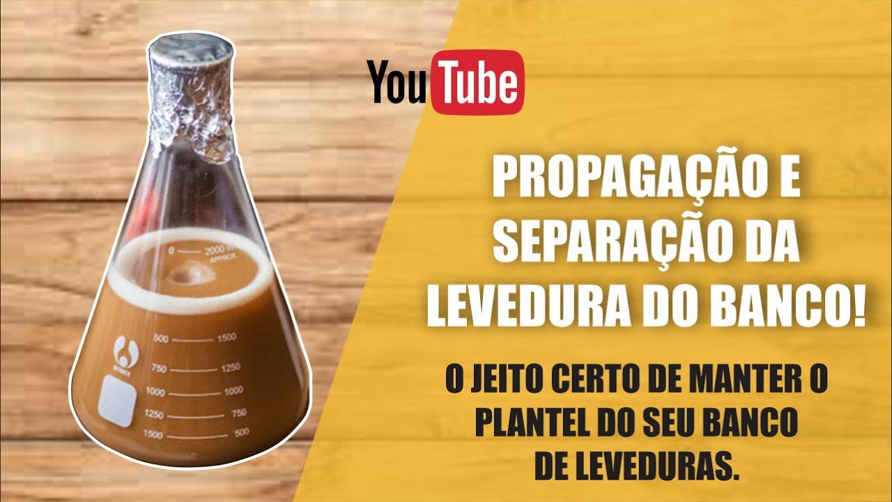 Como fazer a PROPAGAÇÃO DA CEPA do nosso banco de leveduras e manter seu plantel! Diy da cerveja