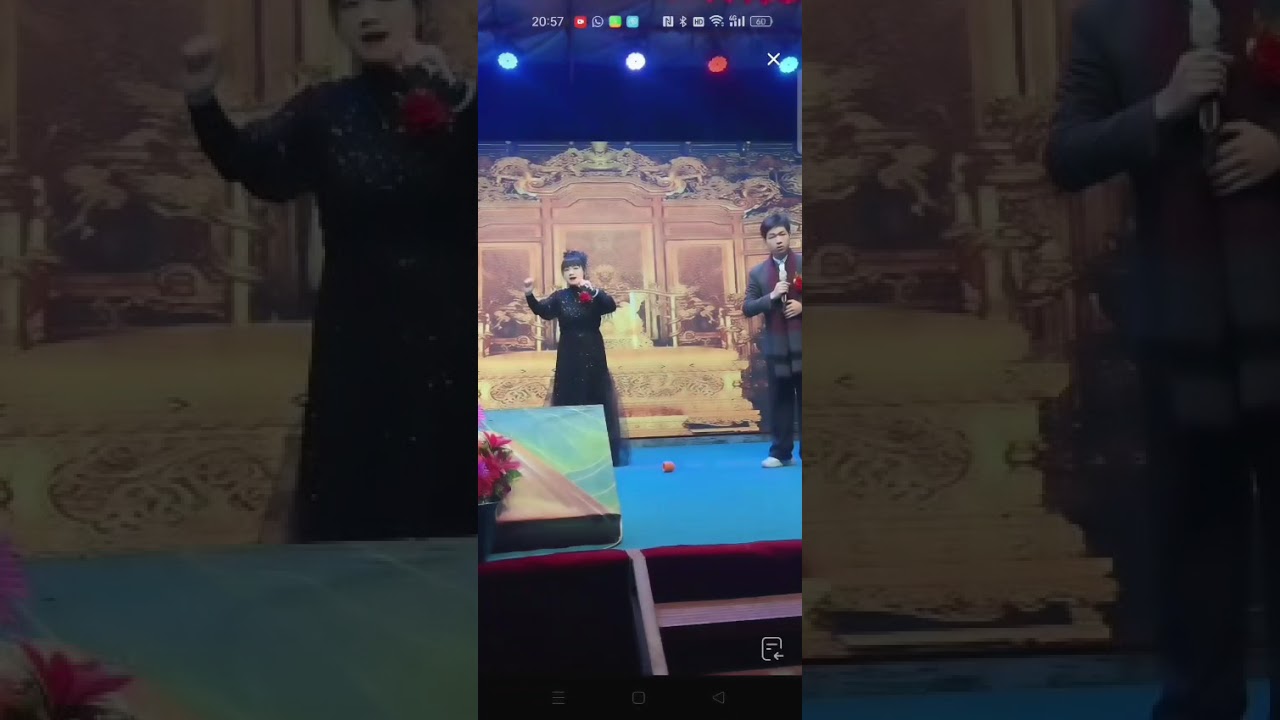 潮曲晚会选段《杨令婆斥君》演唱：苏煜梓、苏二二#潮汕文化 #teochewopera
