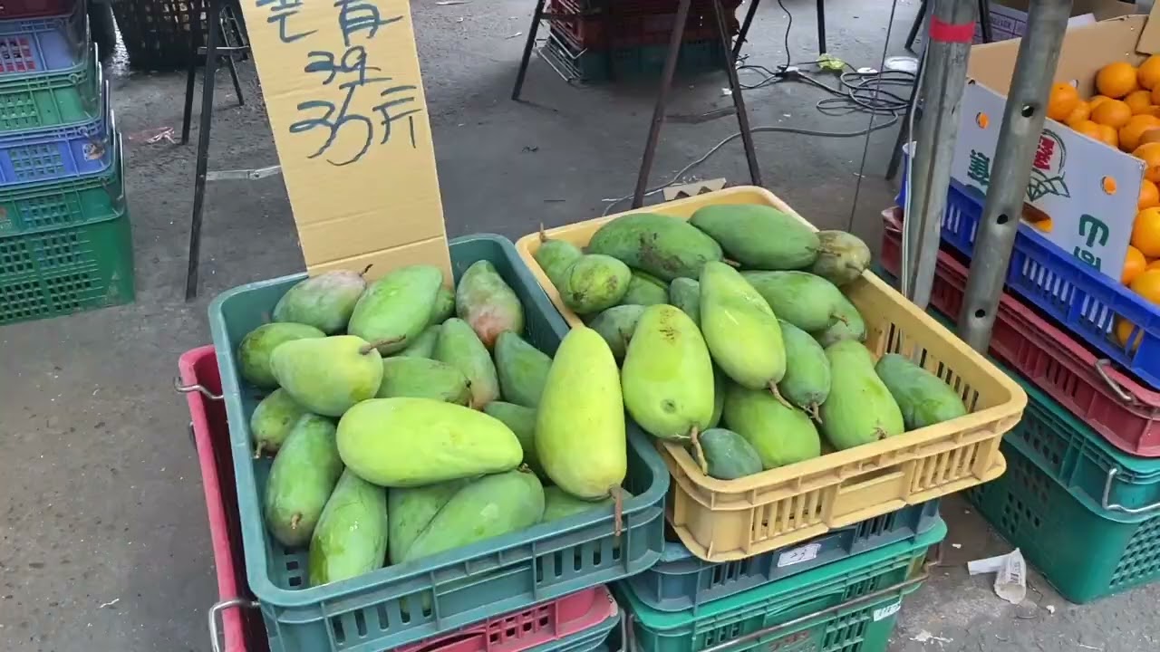 台湾 Vlog 台北街景｜20240417